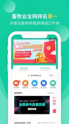 全民养牛