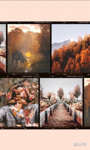 storyluxe
