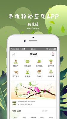 桃信通