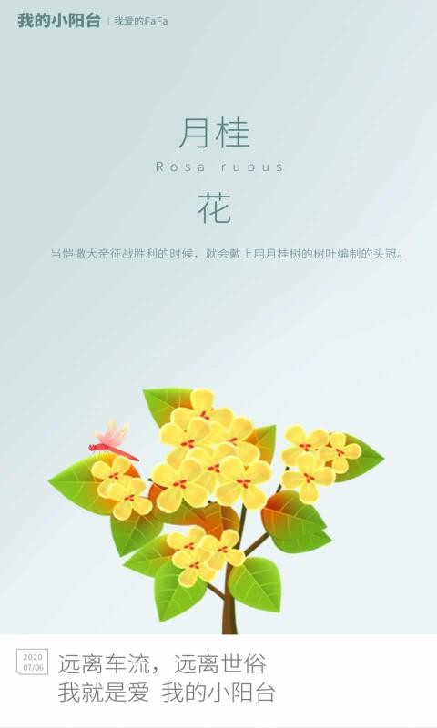 我的小阳台红包版