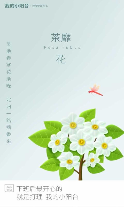 我的小阳台红包版