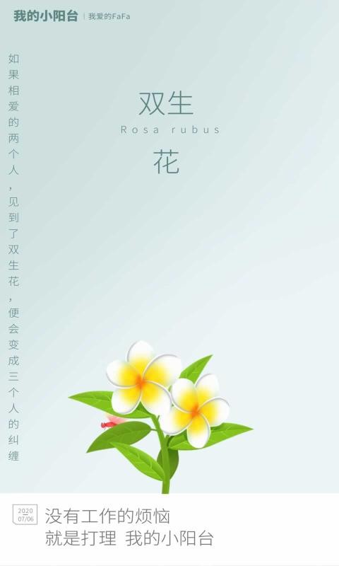 我的小阳台红包版