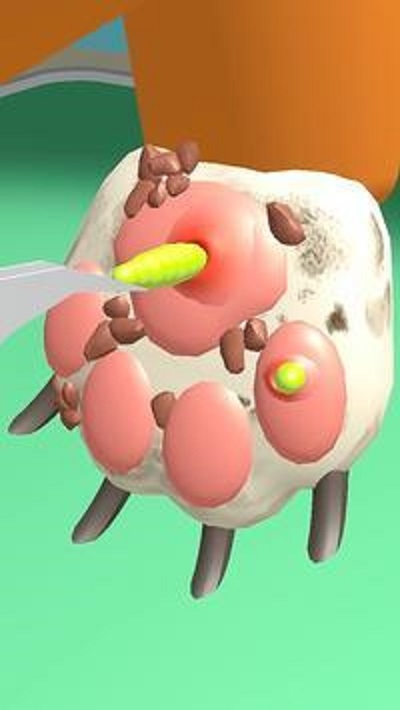 爪子护理