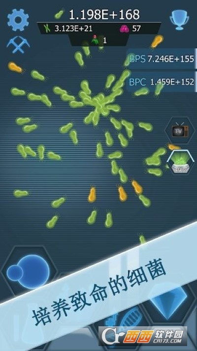 细菌接管无限钻石