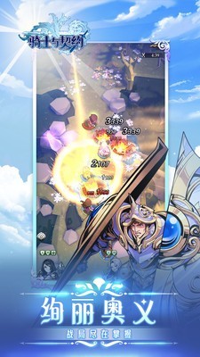 骑士与契约无限钻石版
