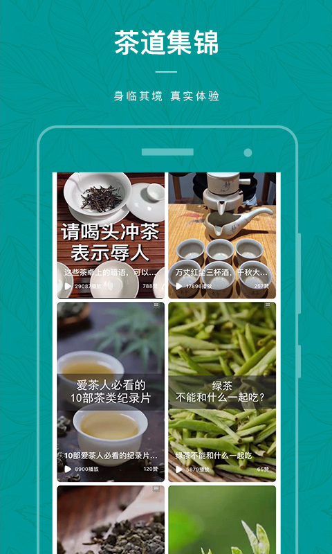 茶物几何