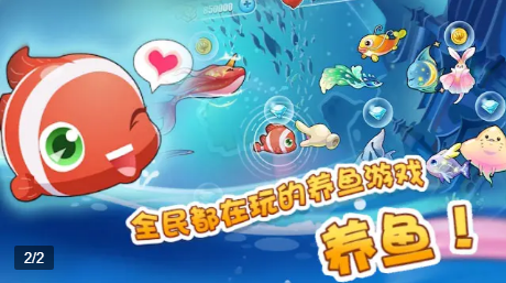 阳光养鱼达人