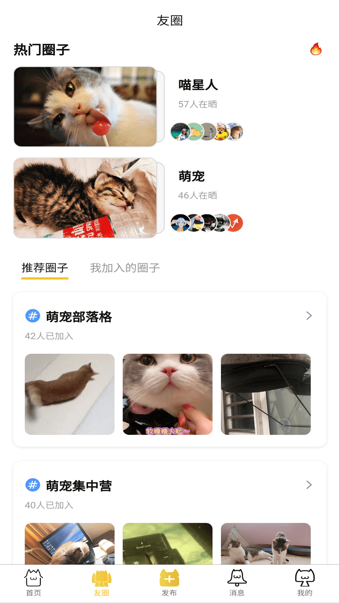 友猫(宠物猫社交)