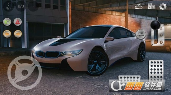 Real Car Parking 2