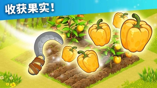 家庭岛无限钻石