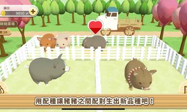 养猪场3D游戏