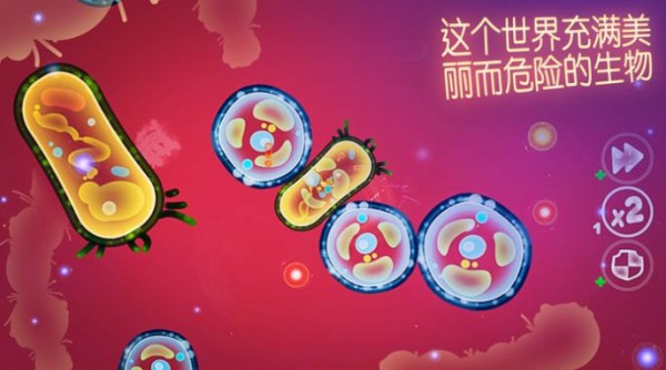 细菌模拟生存
