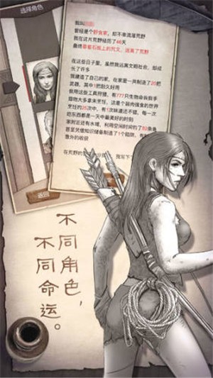 荒野日记孤岛