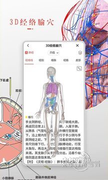 3Dbody解剖