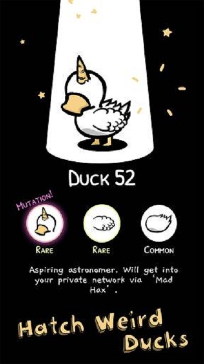 一大堆鸭子Clusterduck