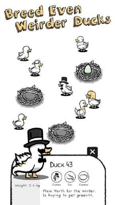 一大堆鸭子Clusterduck