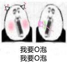 我要o泡表情包