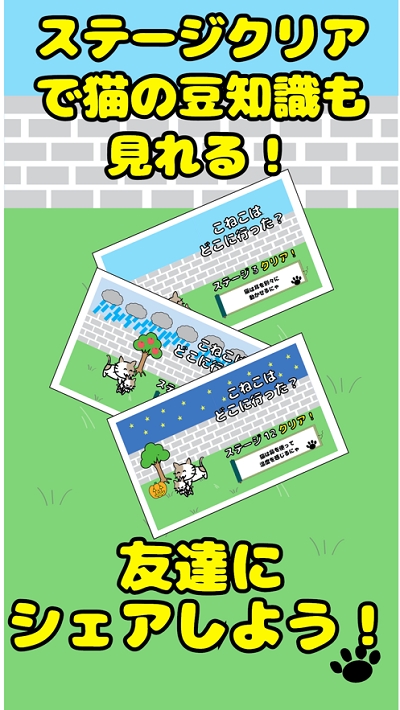 我的小猫在哪里