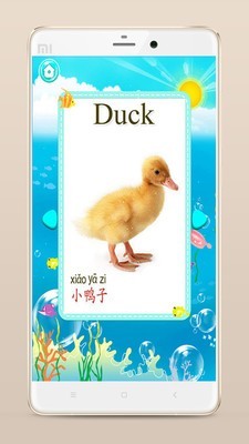 暴击植物精灵萌宝