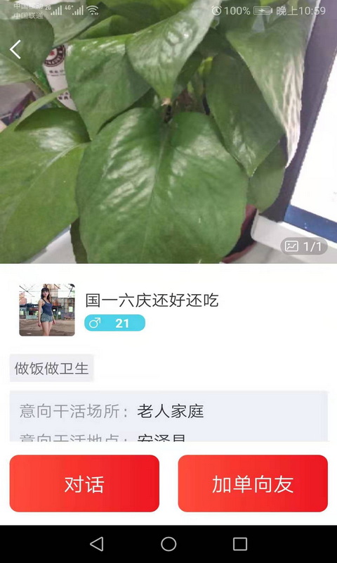 香蕉头(养老社交)