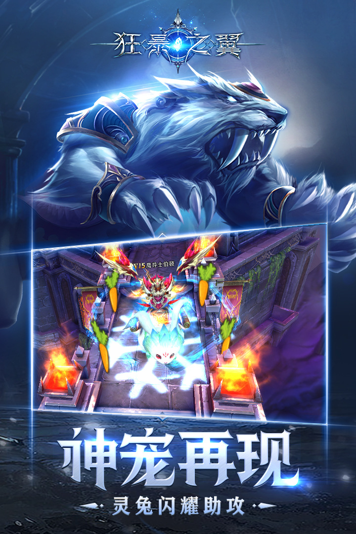 狂暴之翼真正