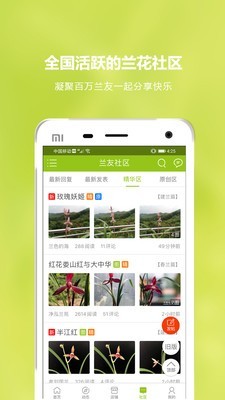 中国兰花交易网