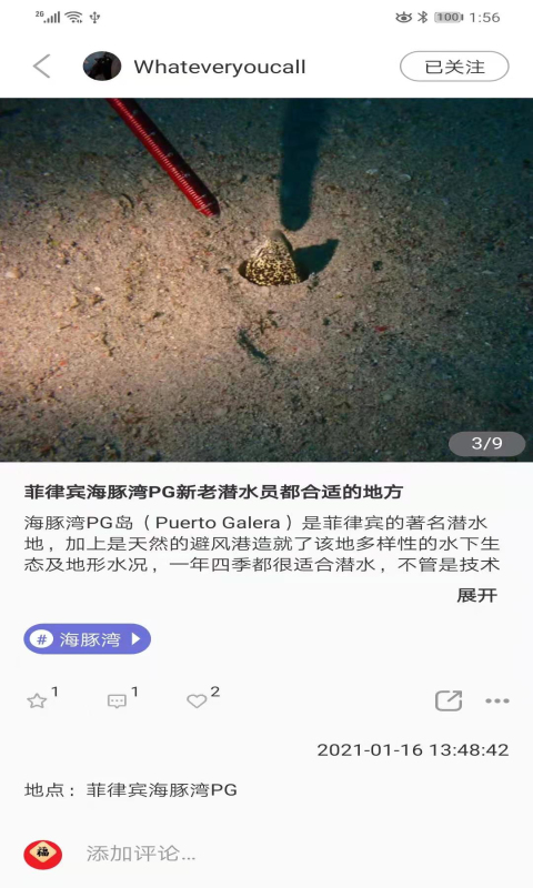 潜水指南MoreDive(潜水社交)