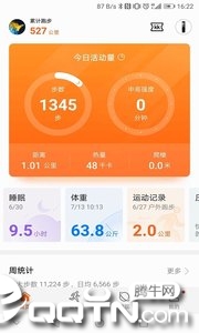 华为运动健康计步器