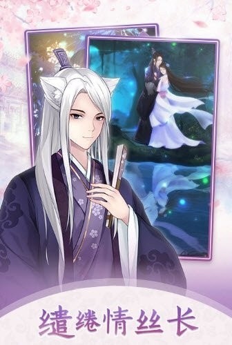 猫恋奇谭