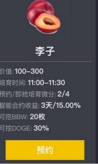 红果子乐园区块链