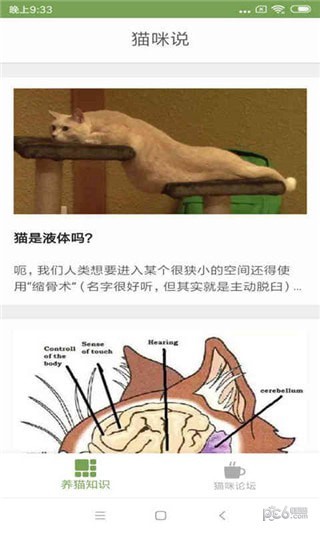 猫咪生活圈