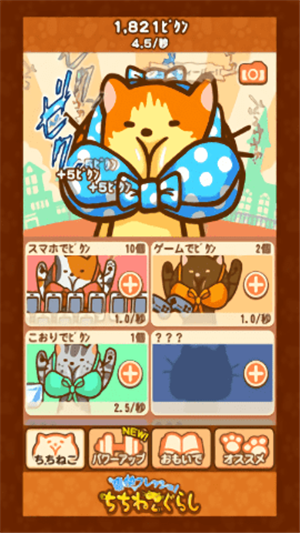 暴躁猫咪