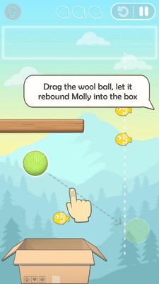 cat bounce