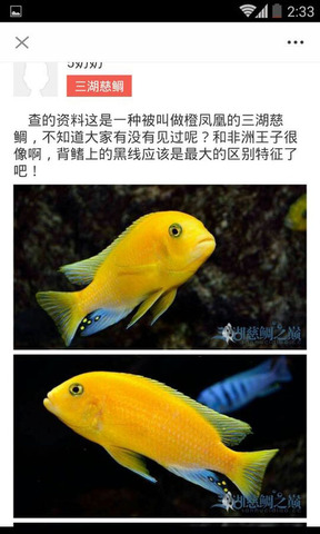 南美水族论坛