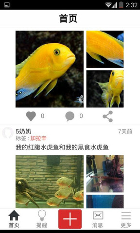 南美水族论坛