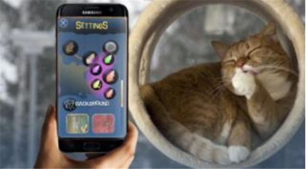 游戏的猫鼠