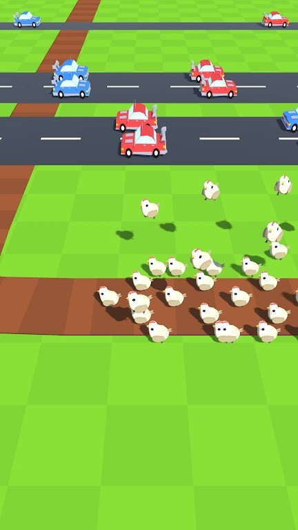 动物与道路