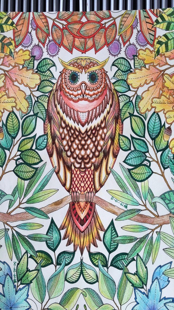 涂色世界