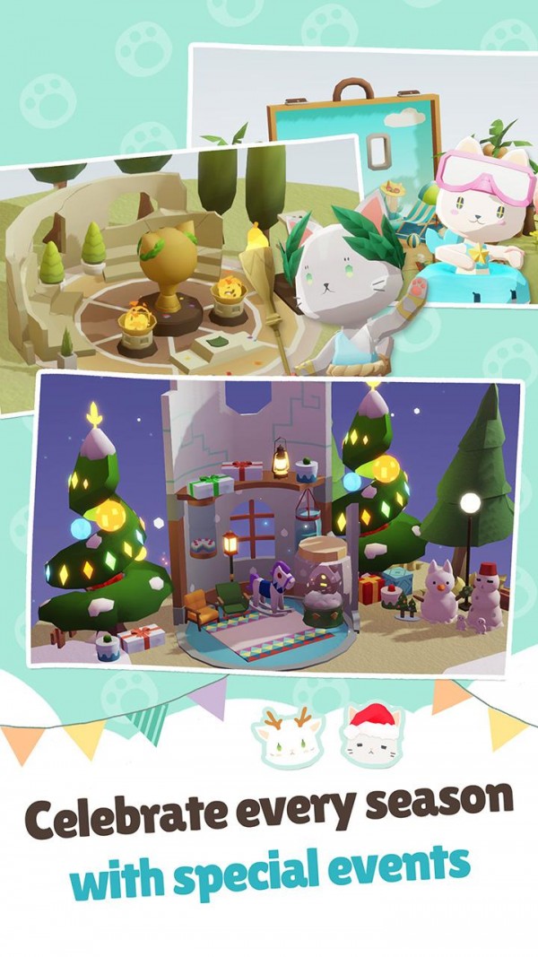 亲爱的我的貓咪