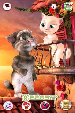 汤姆爱安吉拉游戏