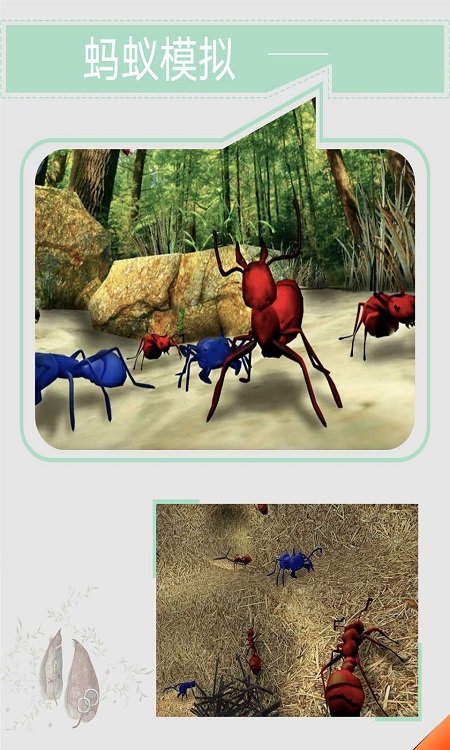 蚂蚁模拟手机版
