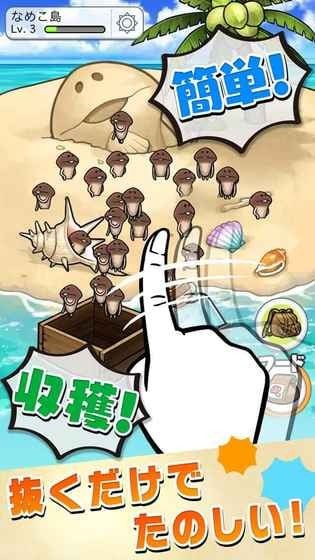 滑子菇栽培套装