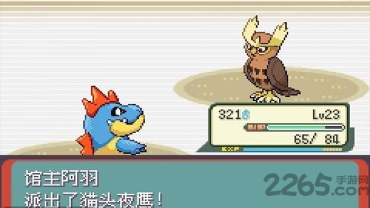 口袋妖怪决心汉化版