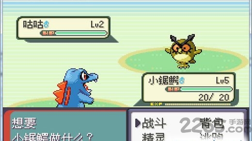 口袋妖怪决心汉化版