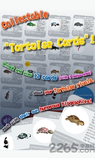 龟兔赛跑手机版