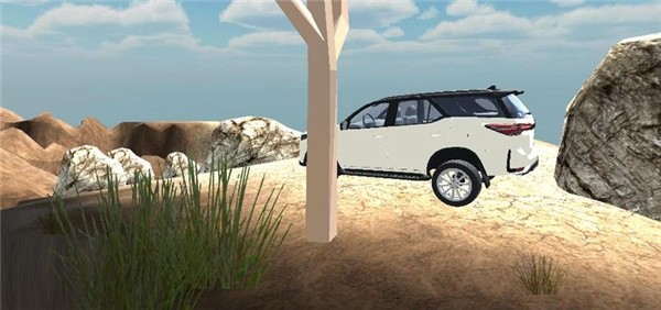 印度重型汽车司机