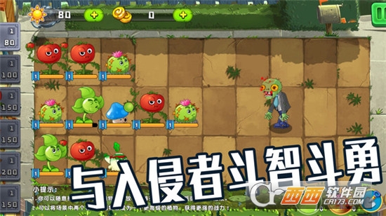 植物僵尸大作战游戏