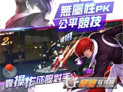 拳皇命运台服版