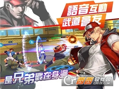 拳皇命运台服版