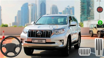 3D普拉多停车场